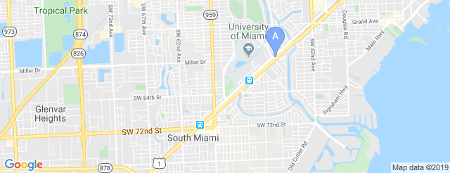 Alex Rodriguez Park at Mark Light Field